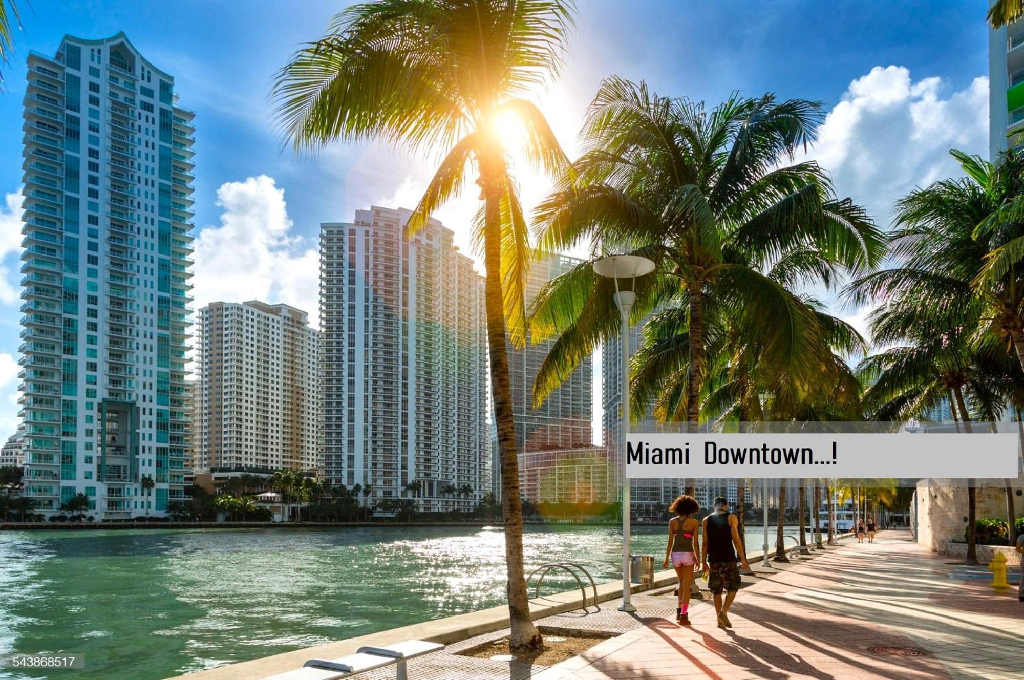 Experience The Perfect Miami Life!! Centrally Located Luxury Condo! Esterno foto